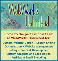 Web design and optimization services